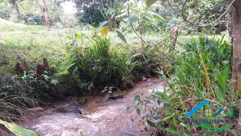 Imagem Paraíso Ecológico: Terreno com Nascente Própria e Vista Panorâmica.