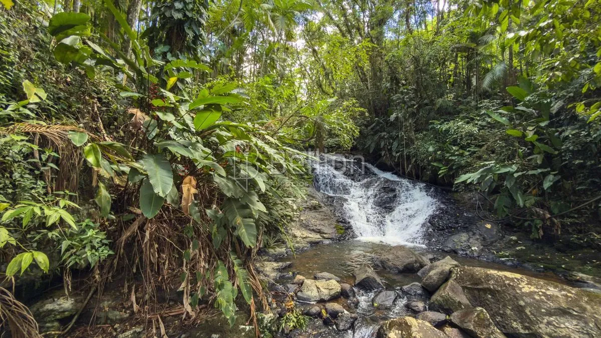 Imagem Sítio encantador em Rio dos Cedros - Bairro Rio Cunha