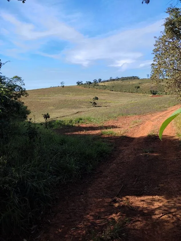 Imagem FAZENDINHA À VENDA - RIO MANSO (MG) 43 hectares de terra