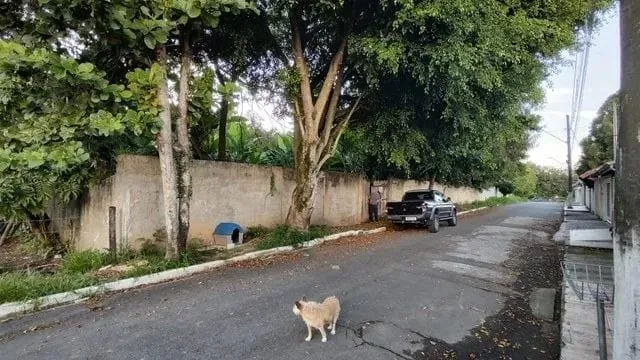Imagem Terreno à venda 250M², Jardim Primavera, Roseira - SP
