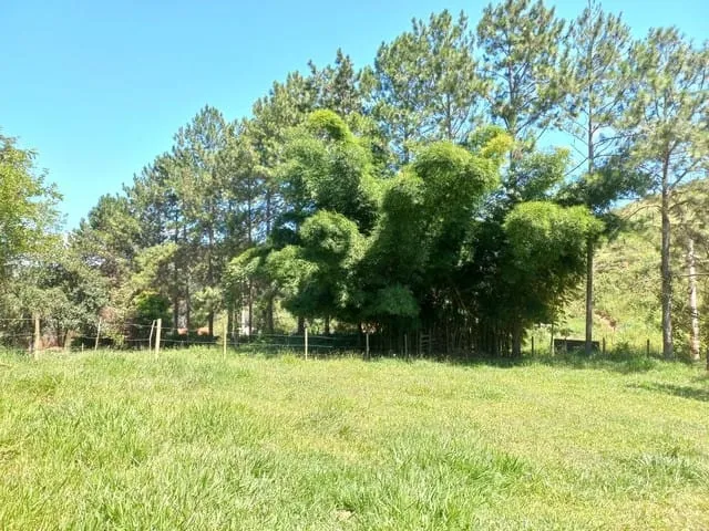 Imagem Chácara à venda 121000M², Rio Abaixo, São Luiz do Paraitinga - SP