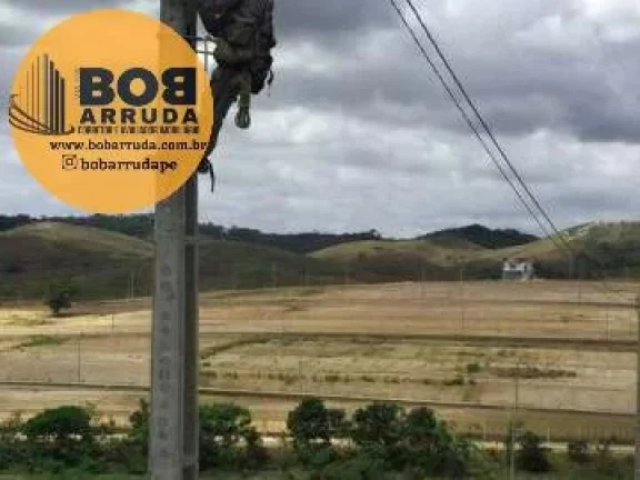 Imagem Terreno Padrão