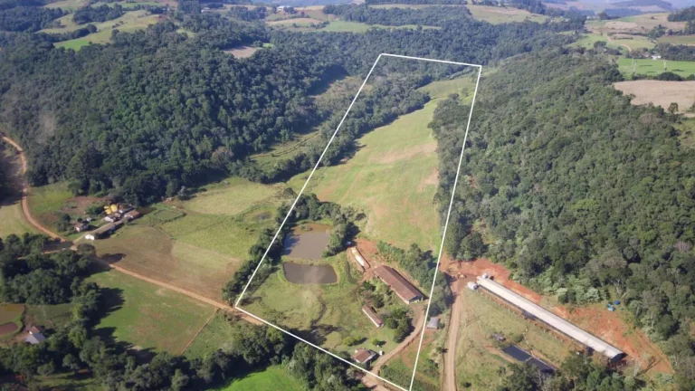 Imagem Área Agrícola para Venda em Concórdia, Interior