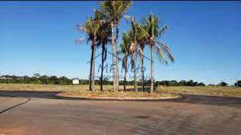 Imagem Terreno Padrão