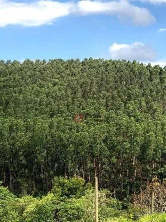 Imagem Fazenda à venda, 2178000 m² por R$ 11.600.000 - Jambeiro - Jambeiro/SP