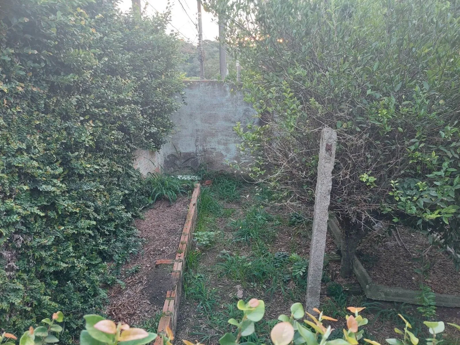 Imagem Terreno comercial com 720m2 à venda, bairro Lomba do Pinheiro, Porto Alegre, RS