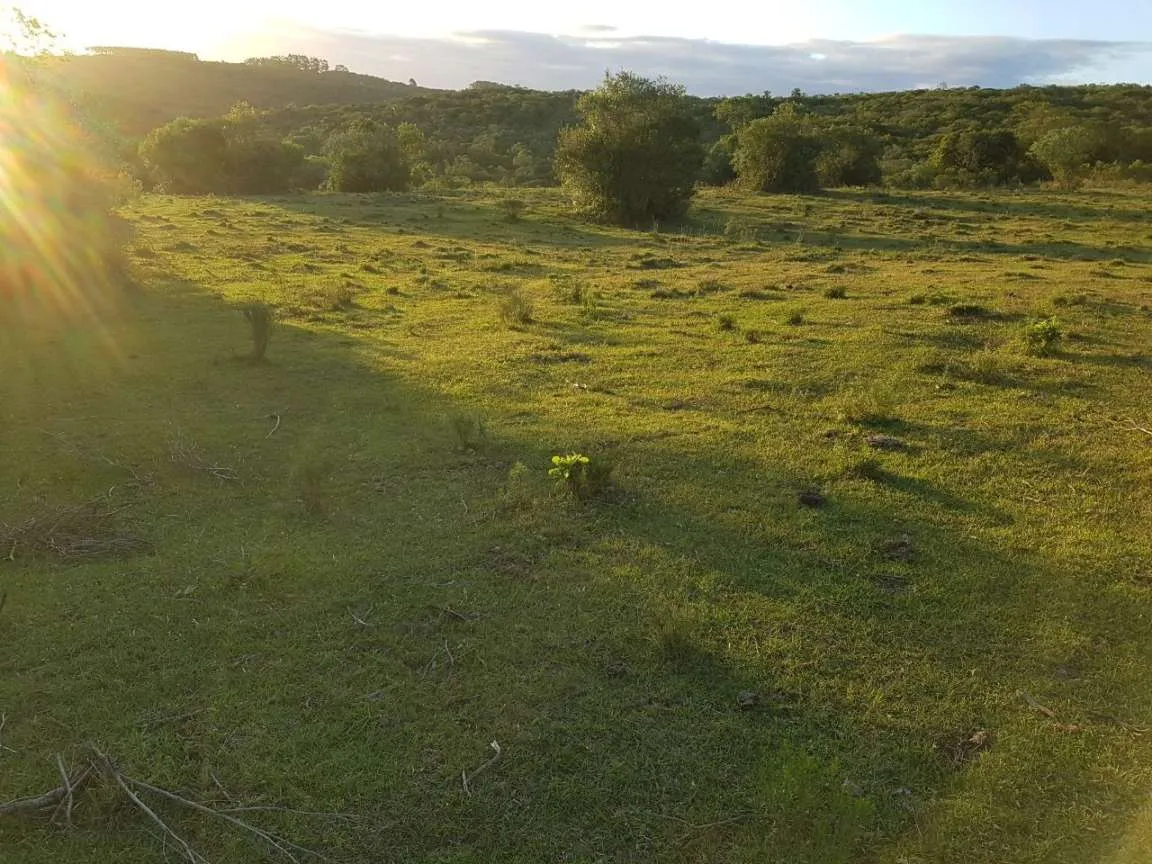 Imagem Sítio para Venda em Pedro Osório, Brasileiras