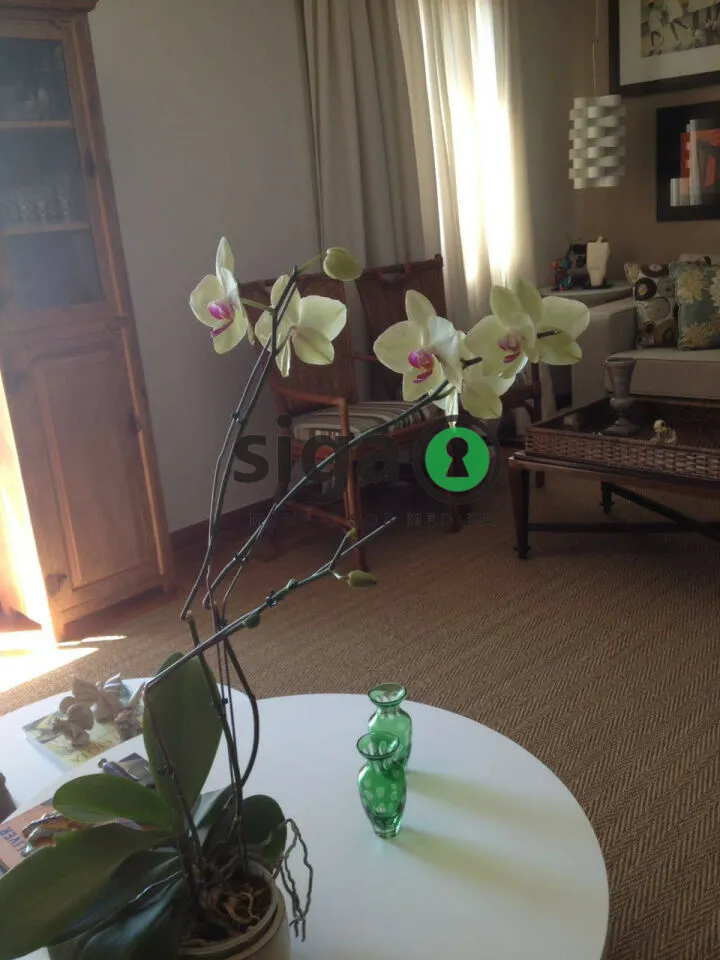 Imagem Cobertura Duplex com Suíte e 2 Vagas para Quem Busca Exclusividade.