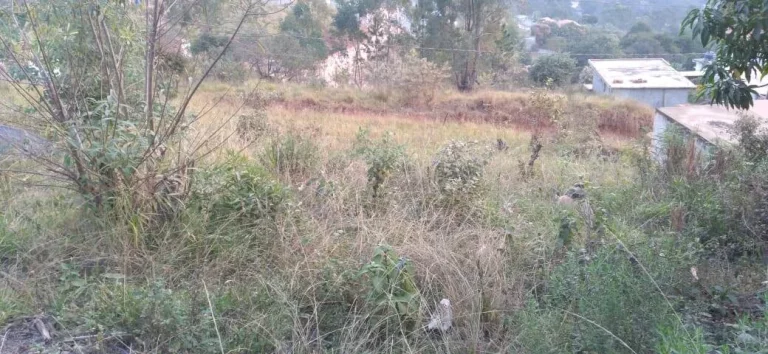 Imagem Terreno de 1.820 m² esquina Mairiporã!!