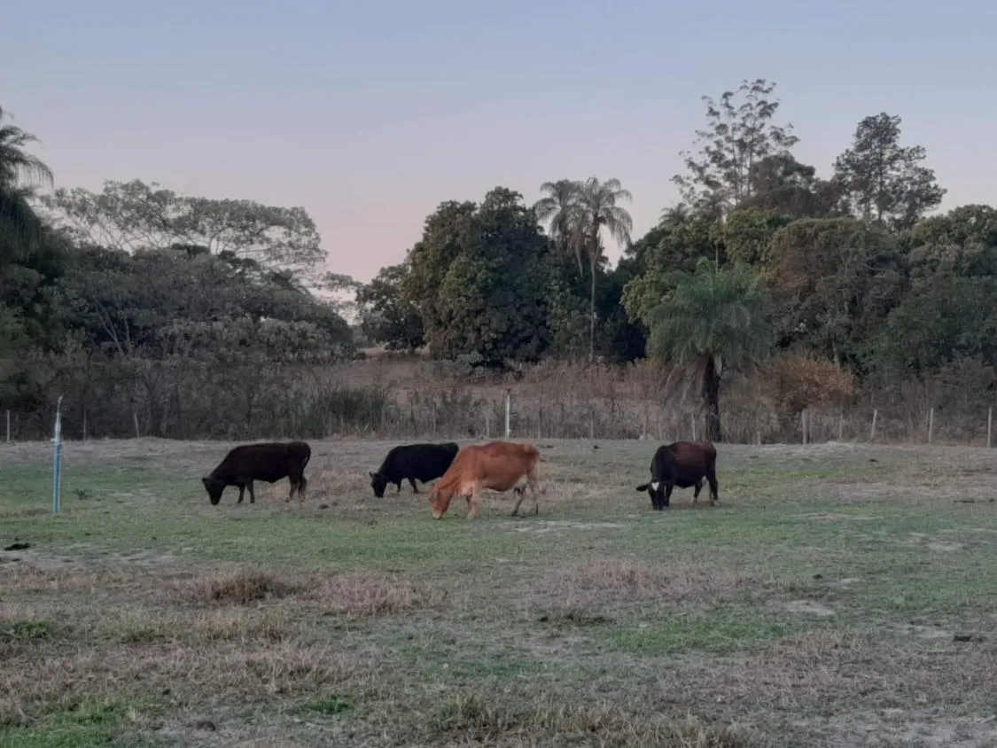 Imagem Vende-se um lindíssimo sítio localizado em Esmeraldas, MG . com 6 hectares (60.000 m²)