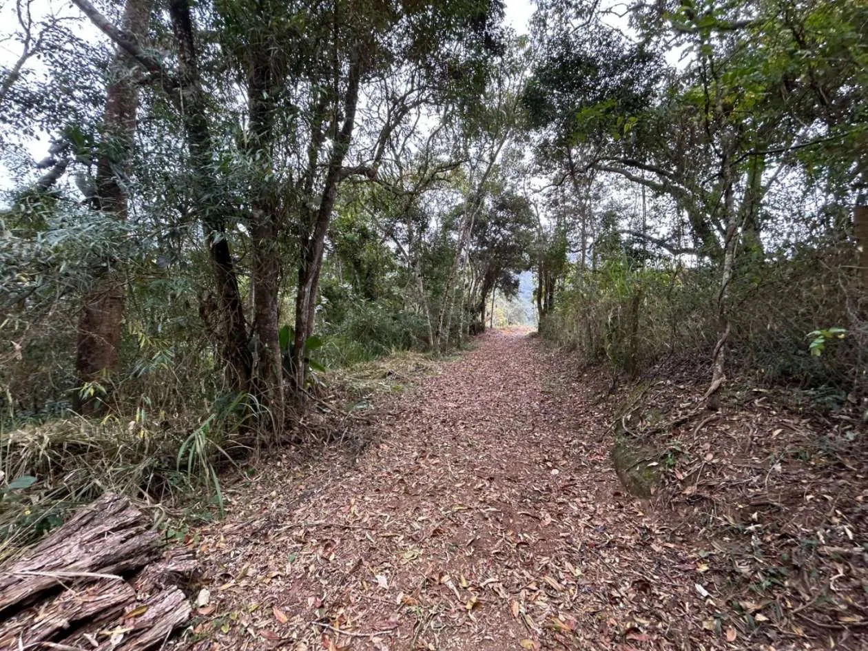 Imagem Terreno em Condomínio para Venda em Petrópolis / RJ no bairro Itaipava