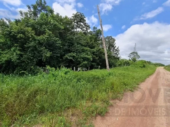 Imagem CASAL IMÓVEIS VENDE ÁREA GRANDE EM TAILANDIA PROX AGROPALMA