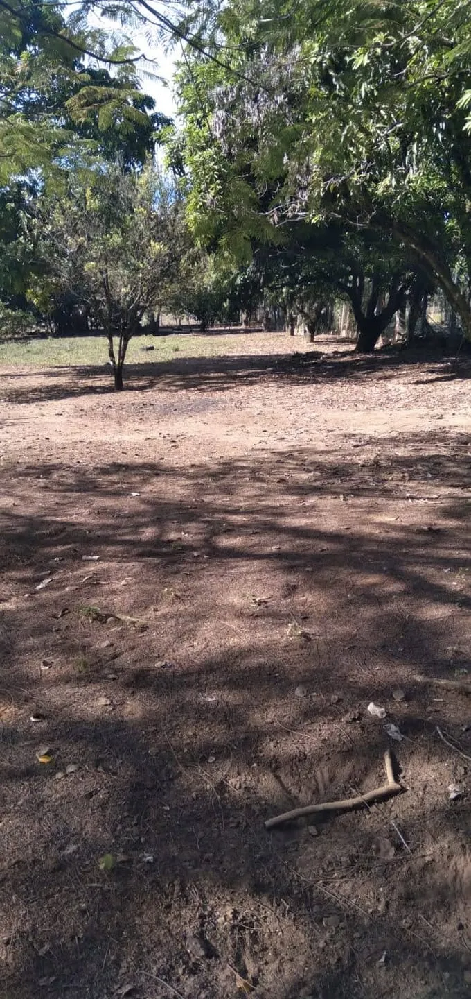 Imagem Terreno à venda Goiabal, Pindamonhangaba - SP