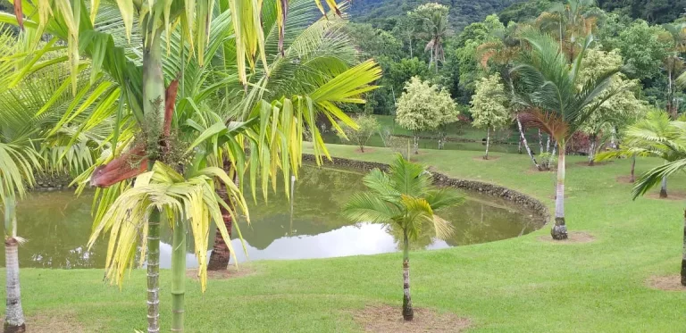 Imagem Linda casa em condomínio Fechado - Bairro Horto
