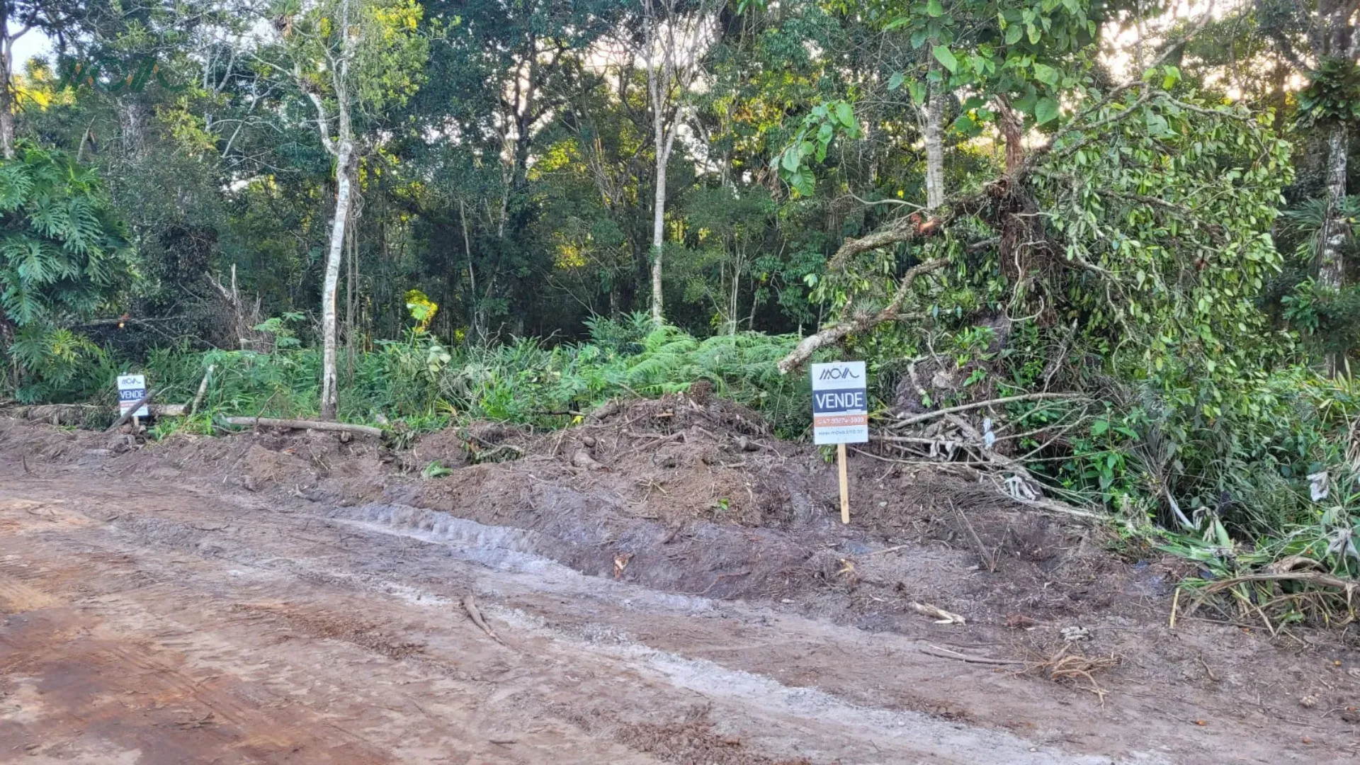 Imagem 4 terrenos sendo uma ESQUINA, com vegetação, localizado na Rua 2730, 888 - Bairro Pontal do Norte ...