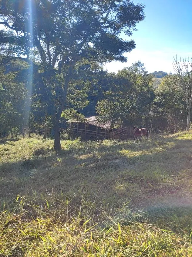 Imagem FAZENDINHA À VENDA - RIO MANSO (MG) 43 hectares de terra