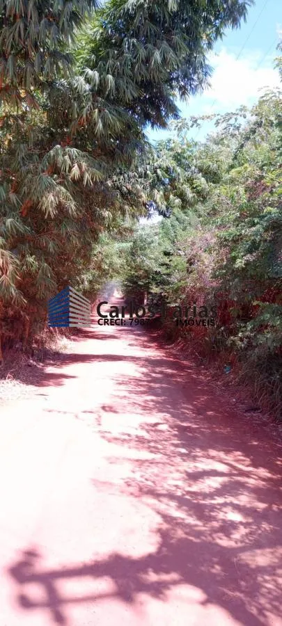 Imagem Chácara para Venda em Brasília, Setor Habitacional Tororó (Jardim Botânico)
