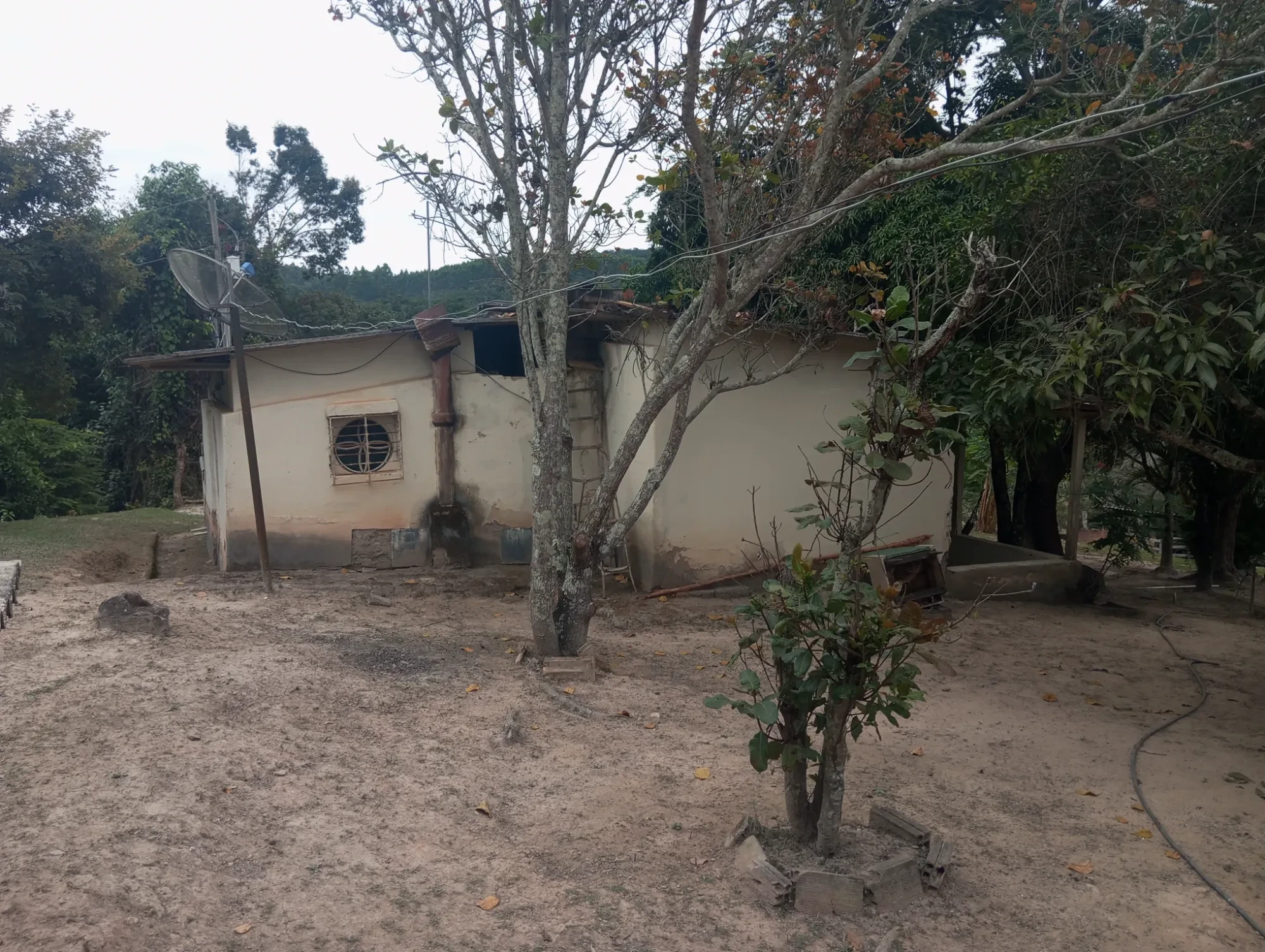 Imagem Sítio à Venda, 20000 metros em Nova União - Nova União