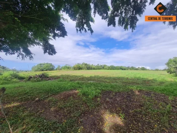 Imagem TERRENO EM BARRA DE POJUCA - LINHA VERDE