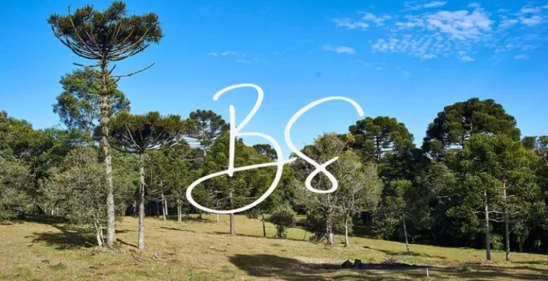 Imagem TERRENO RESIDENCIAL em SÃO FRANCISCO DE PAULA - RS, Centro
