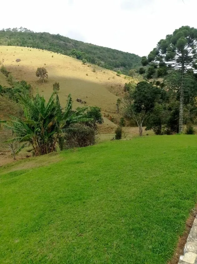 Imagem Fazenda em Joanópolis - R$ 2.000.000,00 - 40 Alqueires e 3 Fontes de Água!