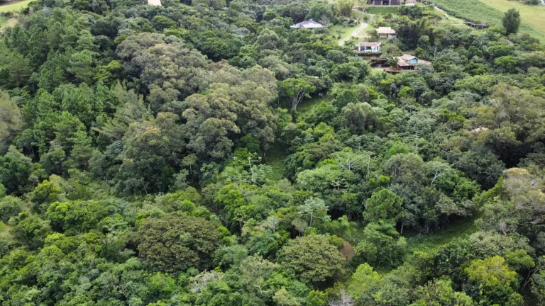Imagem Vista para o Mar: Terreno à Venda na Praia da Ferrugem, Garopaba-SC - 1.500m²!