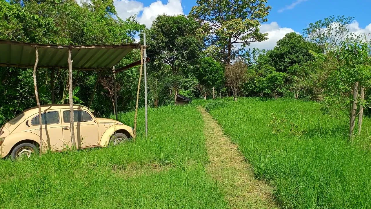 Imagem Vendo ótima chácara em Crucilândia com 7.000 m² de area