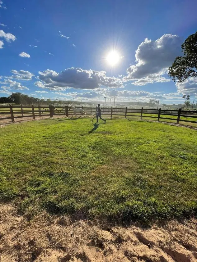 Imagem Fazenda à Venda em Três Marias / MG 355 hectares de terra