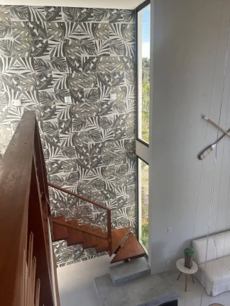 Imagem Casa Branca - Bromélias