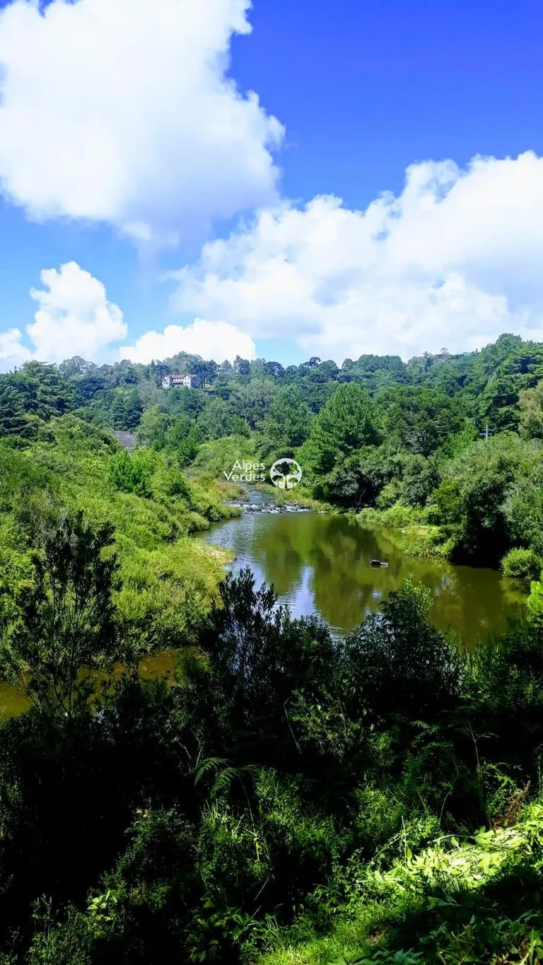 Imagem Casa à Venda em Eletra, São Francisco de Paula - RS