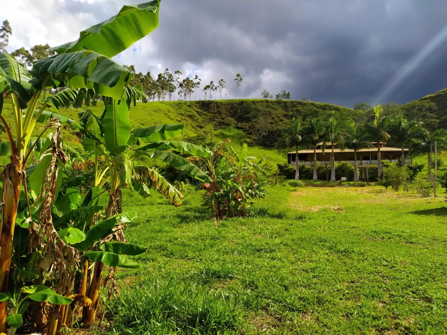 Imagem Chácara à venda 4 Quartos, 1 Suite, 37000M², Zona Rural, Silveiras - SP