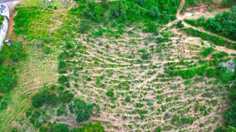 Imagem Terreno em Campos do Jordão