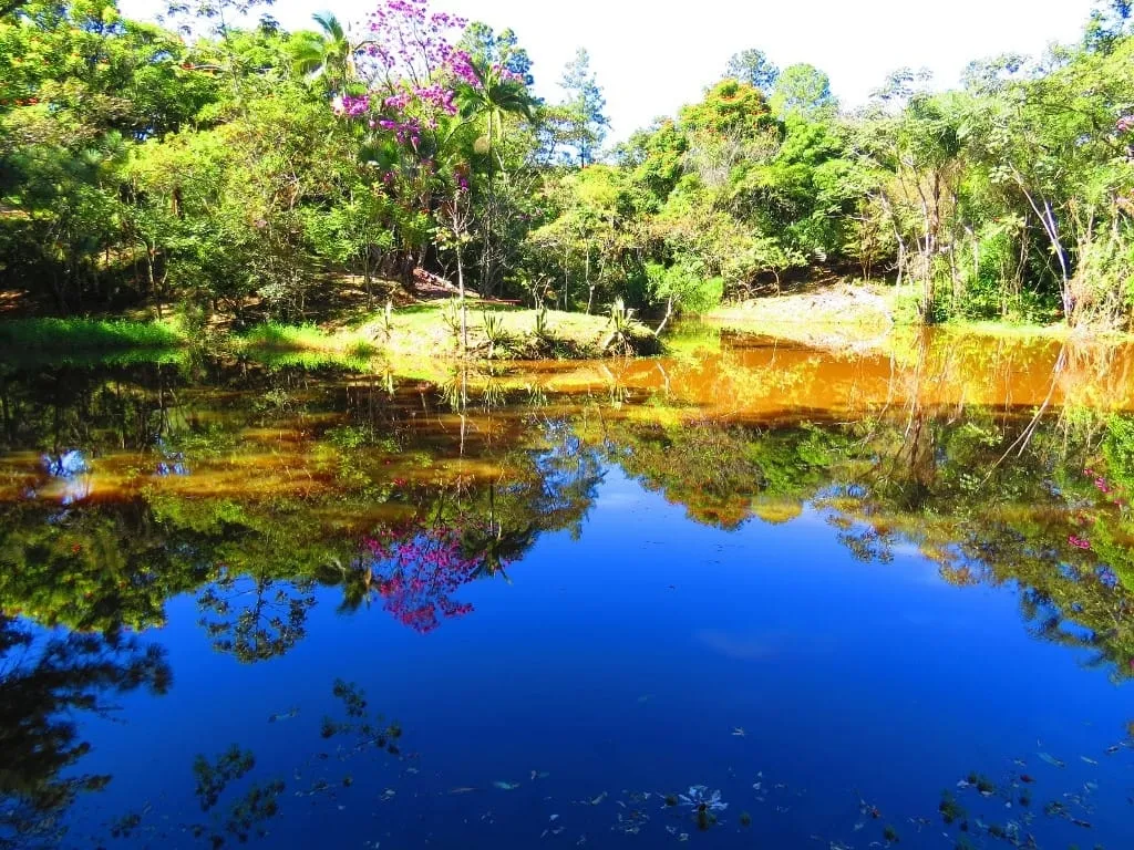 Imagem Chácara à venda 145200M², Paiol, Guaratinguetá - SP