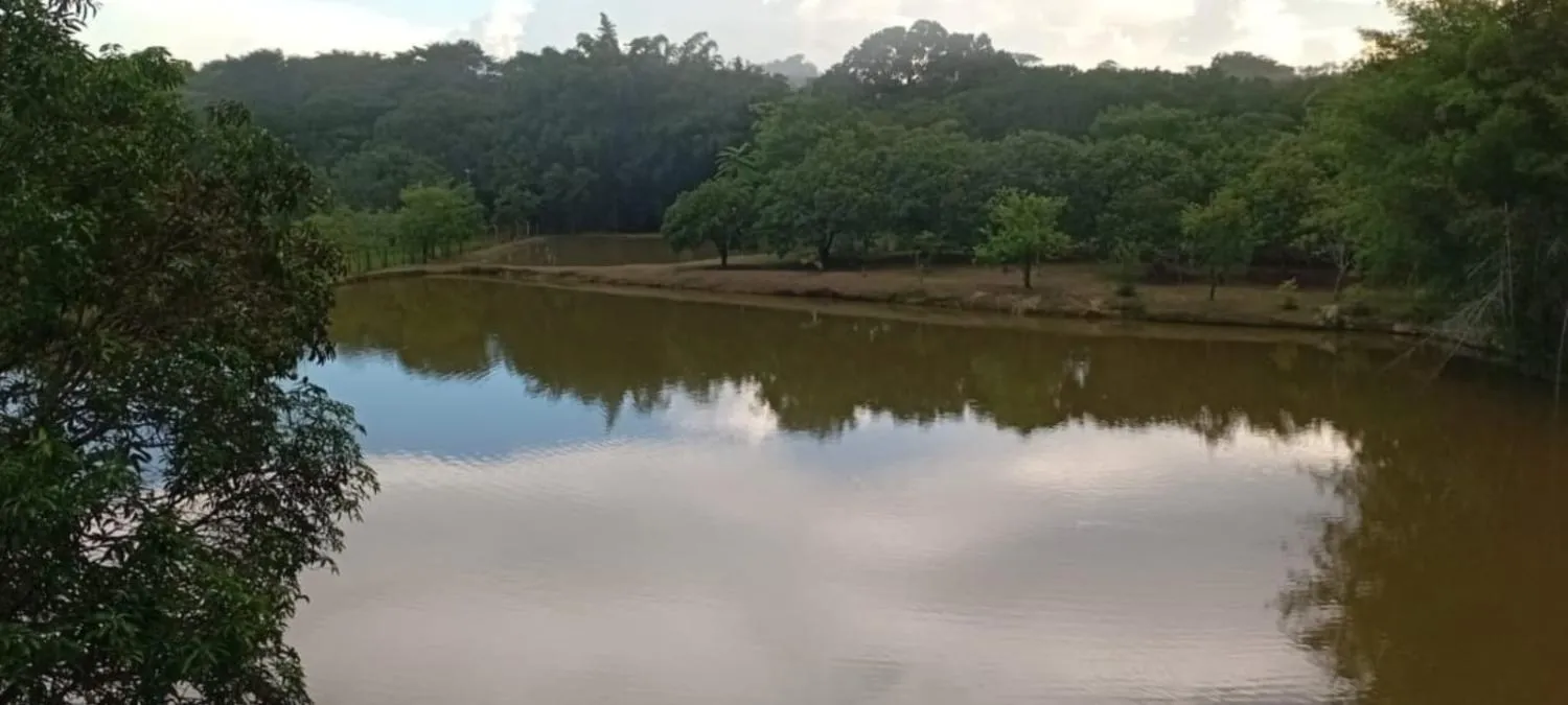 Imagem Excelente sítio à venda em Betim/MG ? Área total de 20.000 m²
