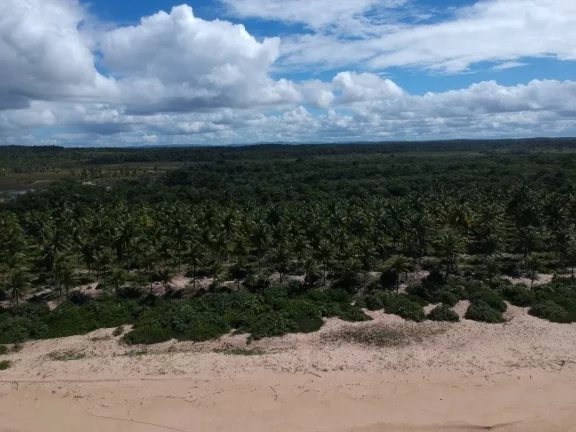 Imagem Paraíso frente mar