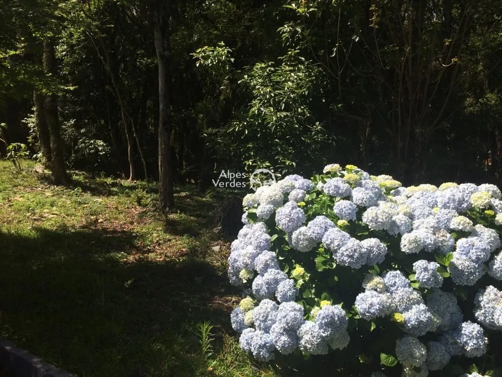 Foto do imóvel Terreno à venda, 1242 m2 por R$ 682.900,00 - Lagos Do Bosque - Gramado/RS