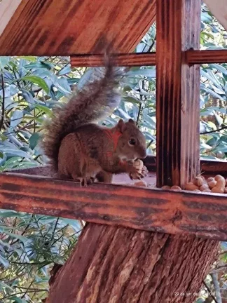 Imagem PO-25253 - POUSADA À VENDA NA VILA INGLESA EM CAMPOS DO JORDÃO - SP