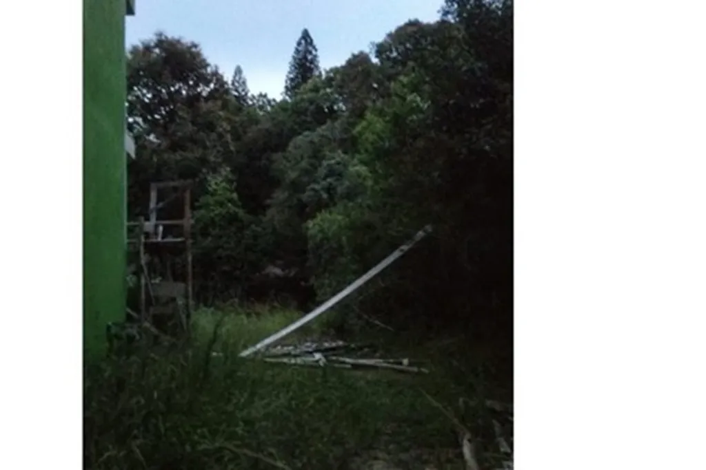 Imagem Terreno em Tristeza