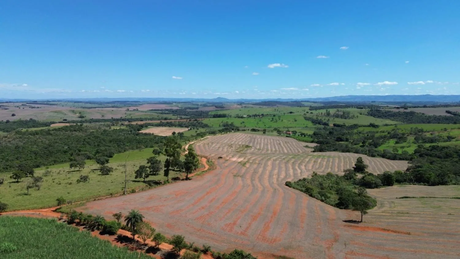 Imagem FAZENDA À VENDA - LUZ (MG) 60 hectares de área total,