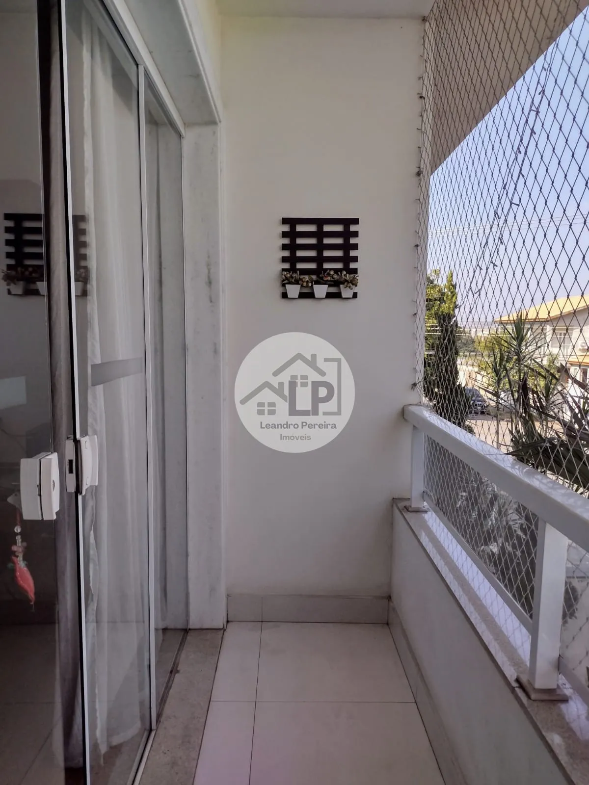 Imagem Limoeiro - Volta Redonda RJ