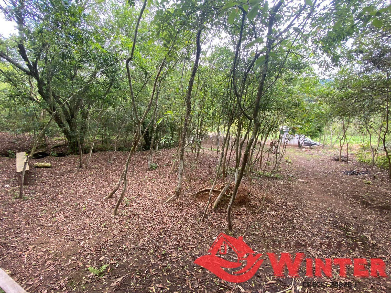 Imagem Área de terras com 6,3 hectares em São Roque, Feliz.