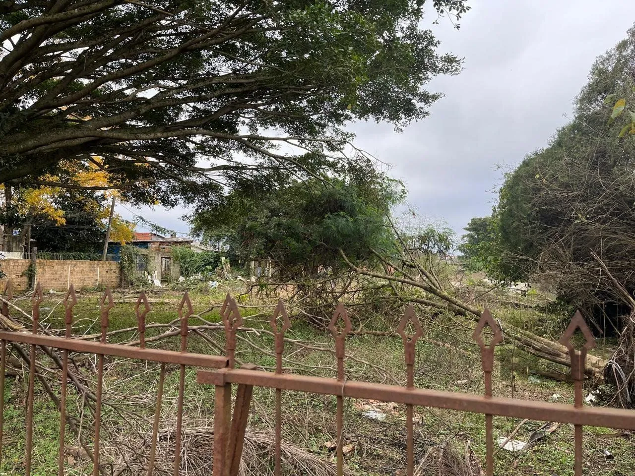 Imagem Terreno 3.000m² Bairro São João