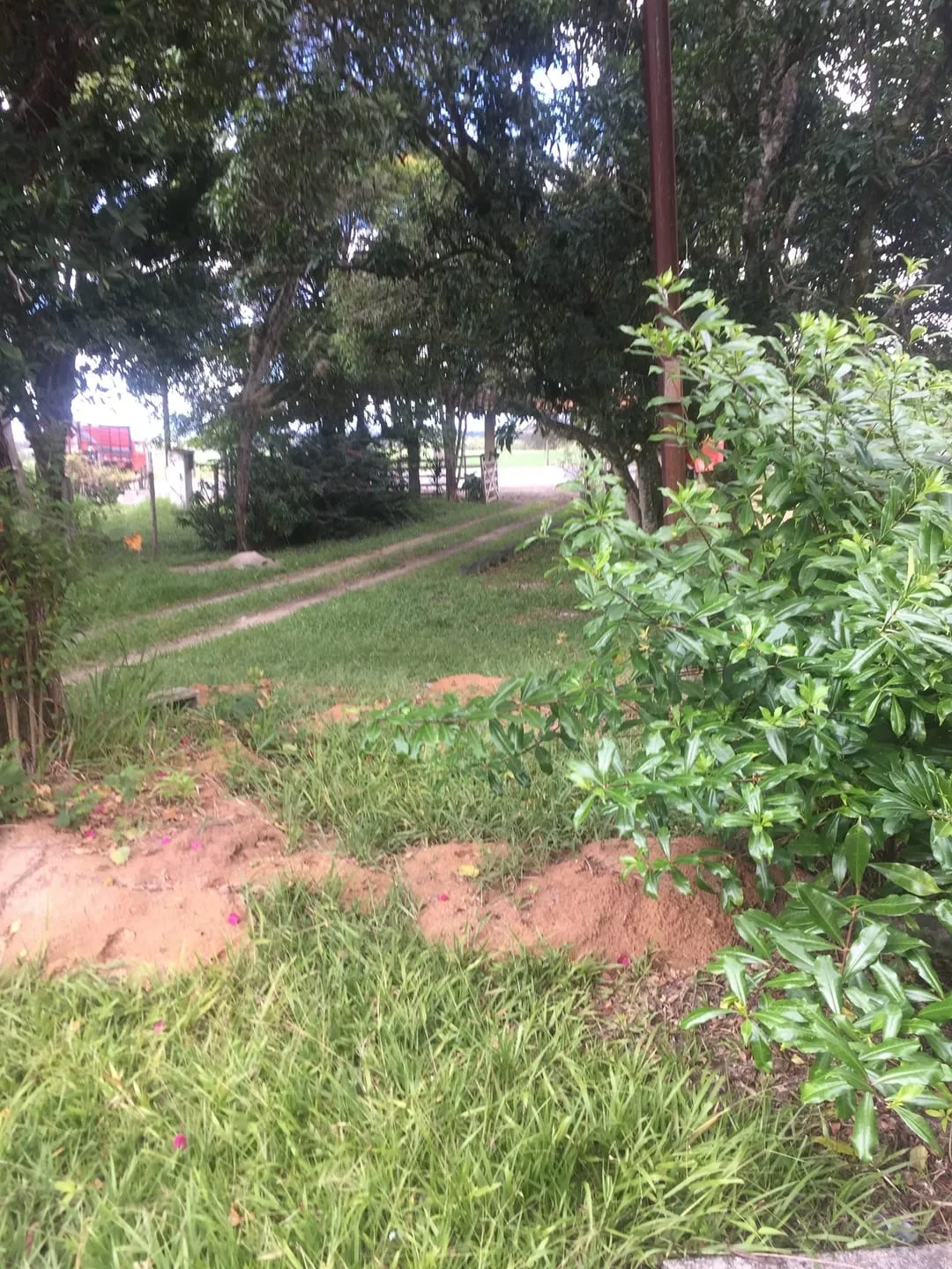 Imagem Chácara à venda 4 Quartos, 1 Suite, 4 Vagas, 3100M², Ribeirão Grande, Pindamonhangaba - SP