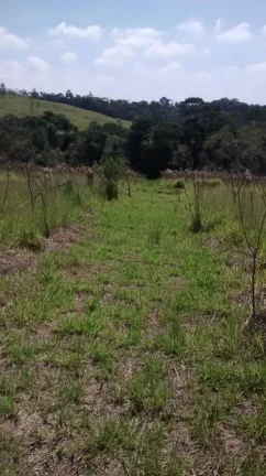 Imagem Propriedade Rural de 10 Mil Metros em Morro do Alto, Itapetininga - SP