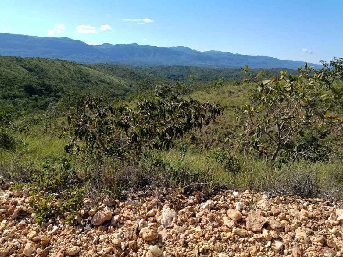Imagem FAZENDA À VENDA EM SANTANA DO PIRAPAMA ? MG , com 338 hectares de terra
