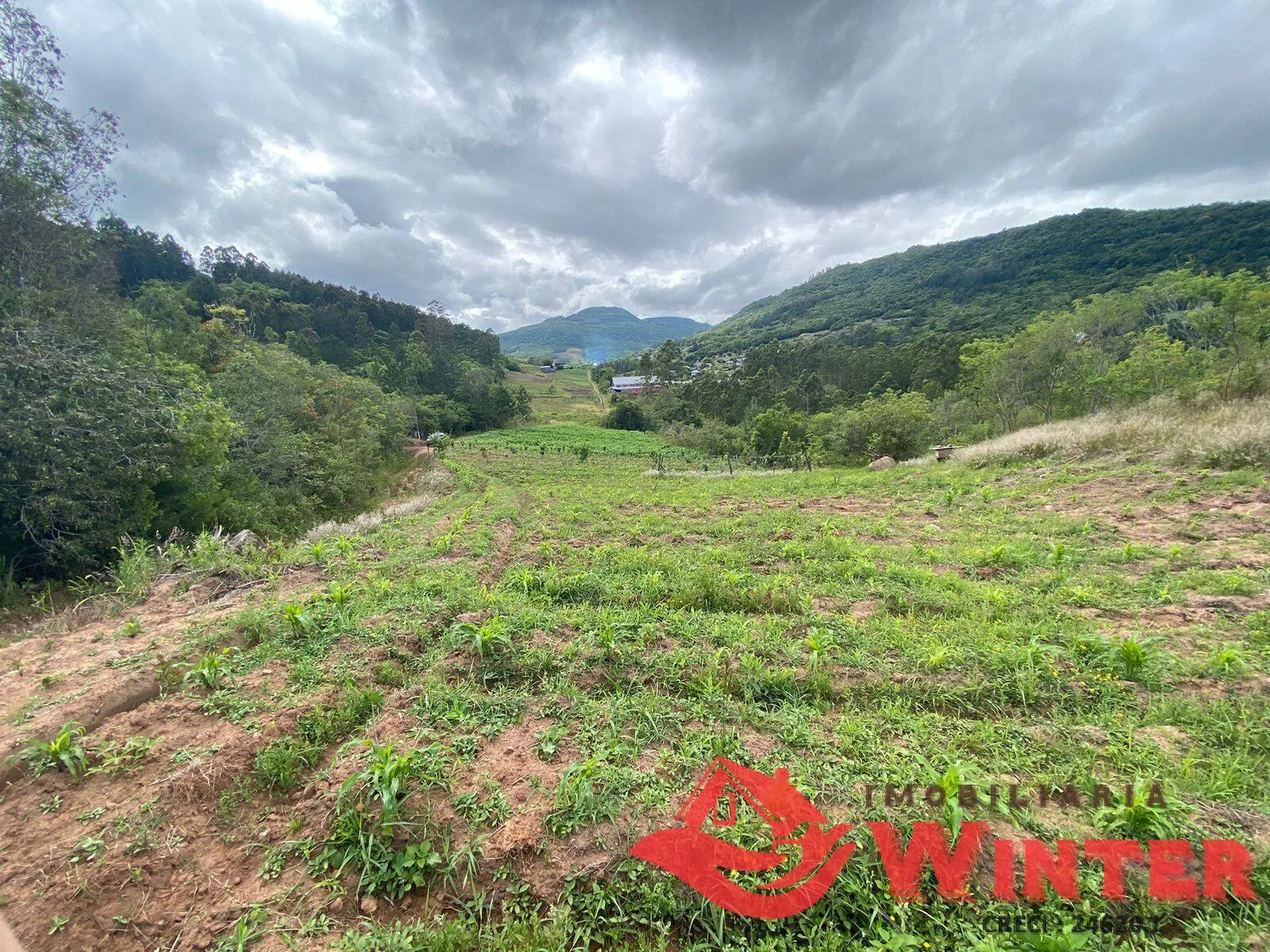Imagem Área de terras com 6,3 hectares em São Roque, Feliz.