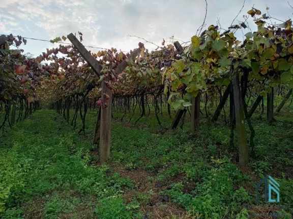 Imagem Terreno a venda, Área de 3.8 hectares em Fores da Cunha - Otávio Rocha RS