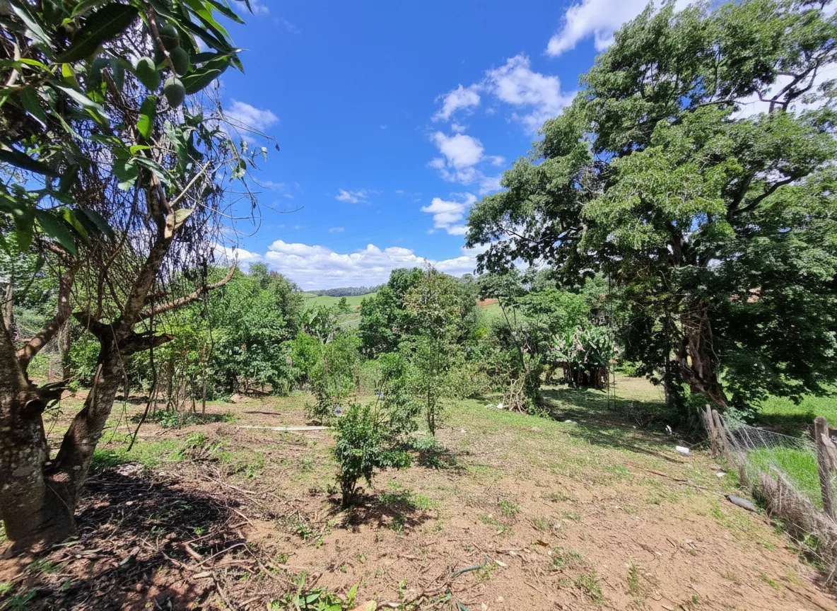Imagem Chácara 80 m² à venda em Cruzeiro da Serra, Poços de Caldas