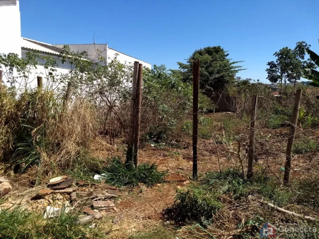 Foto do imóvel Terreno Residencial à venda, Valparaíso, Patos de Minas - TE0108.
