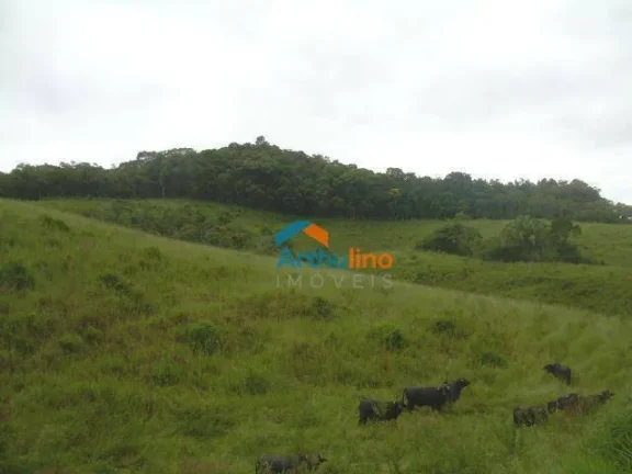 Imagem Terreno à venda, 194.153,97m² por R$ 11.650.000 - Vila Aparecida - Suzano/SP